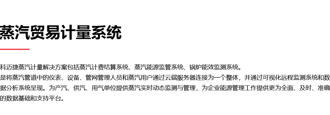 蒸汽贸易计量系统